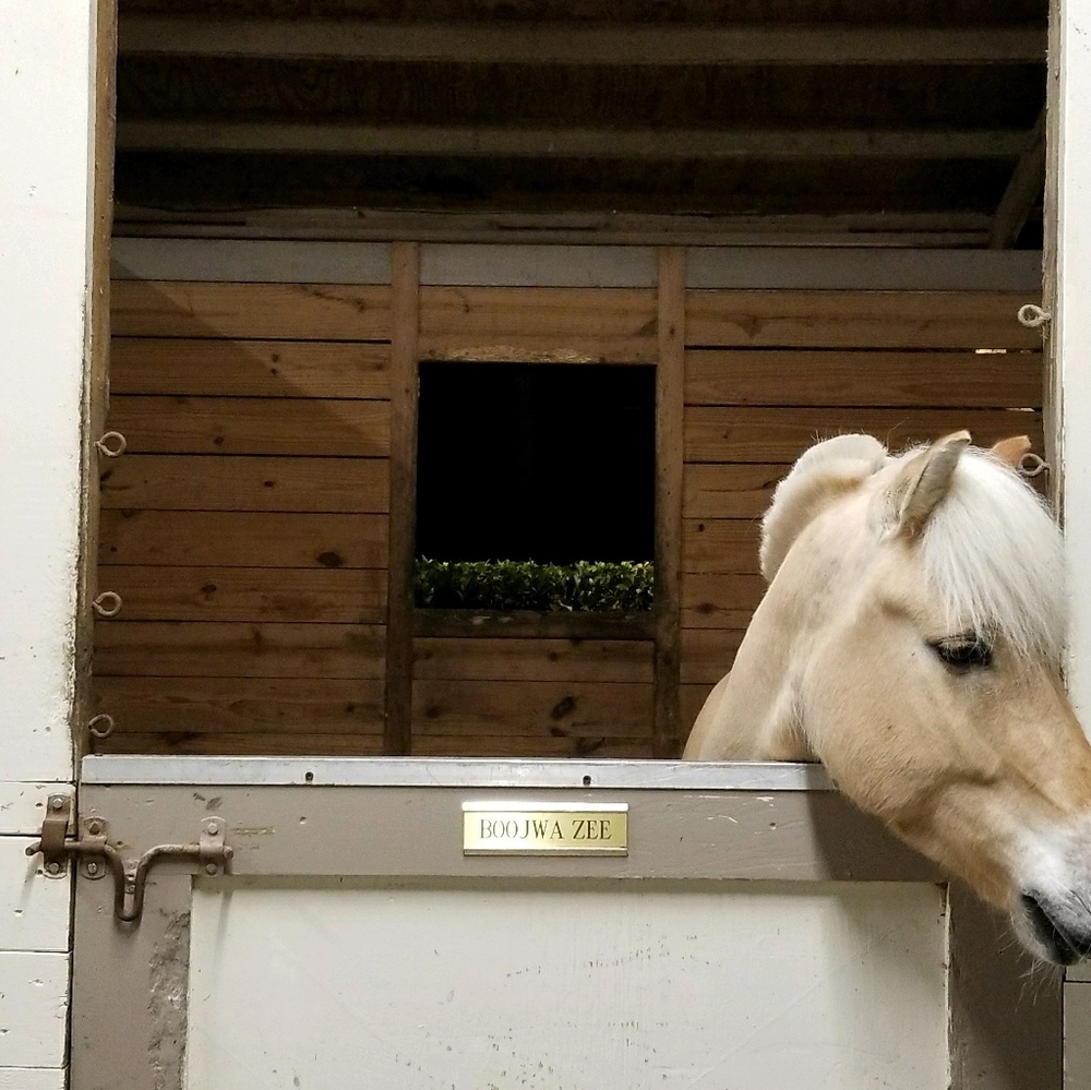 Meet your Posher, Barbara